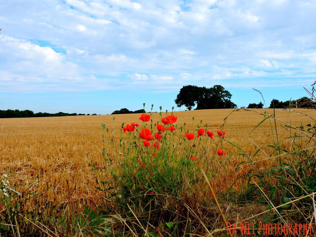 Gite Dans Les Alpes Mancelles Gesnes-le-Gandelin Exterior photo